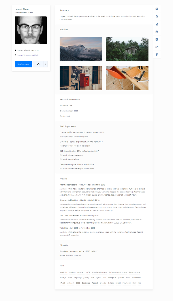 Free Professional Online CV Template 2