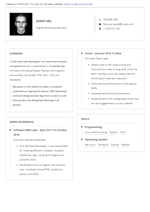 Free Professional Resume Template 3