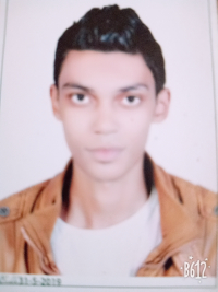 Ali Mohamed Sayed Mohamed Electrical engineer