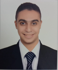 Mahmoud Abd Elfadeel Accountant