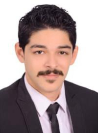 Mostafa Ashraf Hussein Accountant