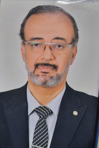 Abd-Elhamid Ali Abd-elhamid farg General Manager of Al Shahin Pharmacies