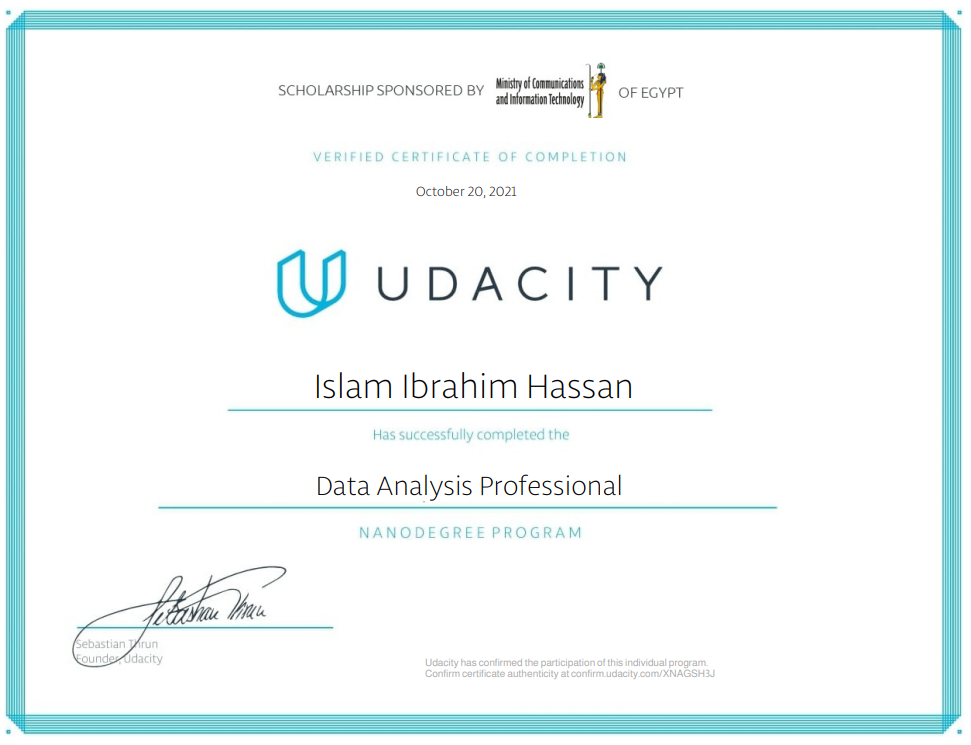 Data Analysis Professional