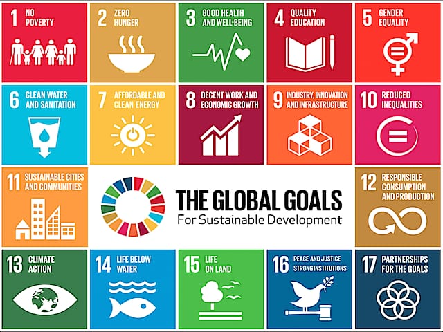 Teaching the goals of the United Nations