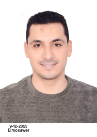 Mohamed Ahmed  Elseidy BIM Mechanical Engineer