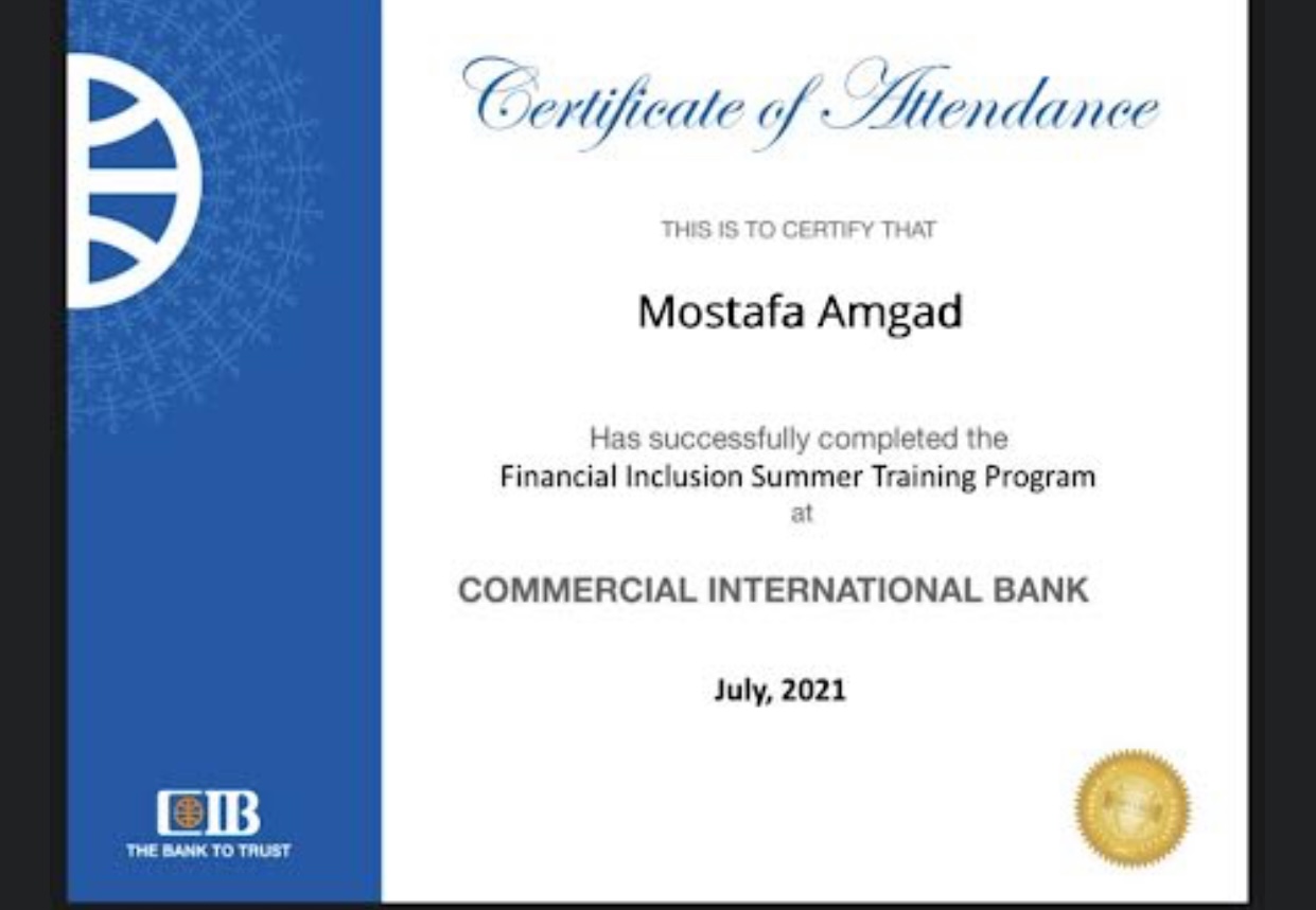 Financial inclusion summer training program