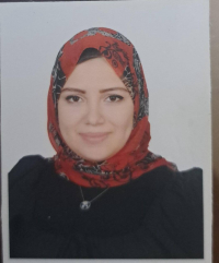 MARWA AHMED SEID OMRAN Teaching assistant in accounting and auditing