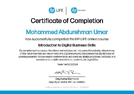 Introduction to Digital Business Skills