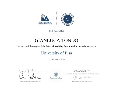 Master IAEP Certificate