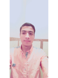 Ahmed Hisham Mechanical Engineer